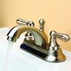 1st image of Universal Faucet Lever Handle in Brushed Nickel