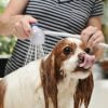 8th image of Easy Spray Quick Connect Faucet Spray Attachment & Rinser