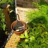 7th image of Water Wigot Garden and Lawn Water Spigot Extender