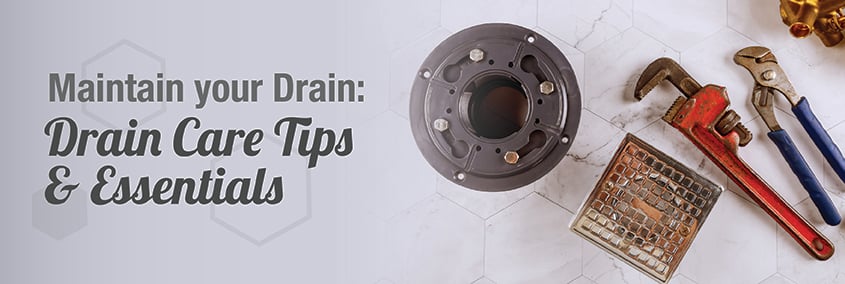 Maintain Your Drain: Drain Care Tips & Essentials