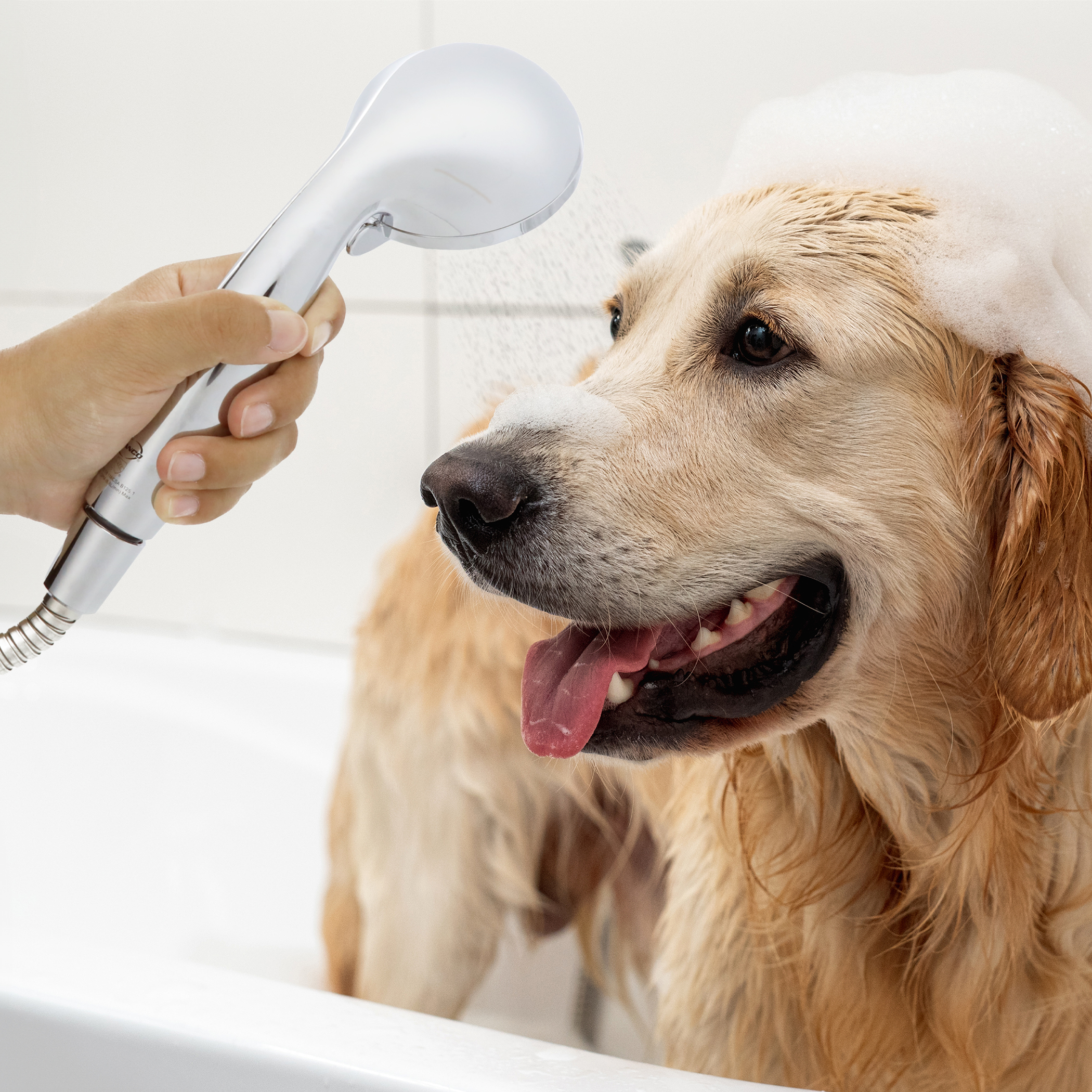 10th image of Multi-Function Massage Handheld Showerhead with Hose in Chrome 10th image of Multi-Function Massage Handheld Showerhead with Hose in Chrome