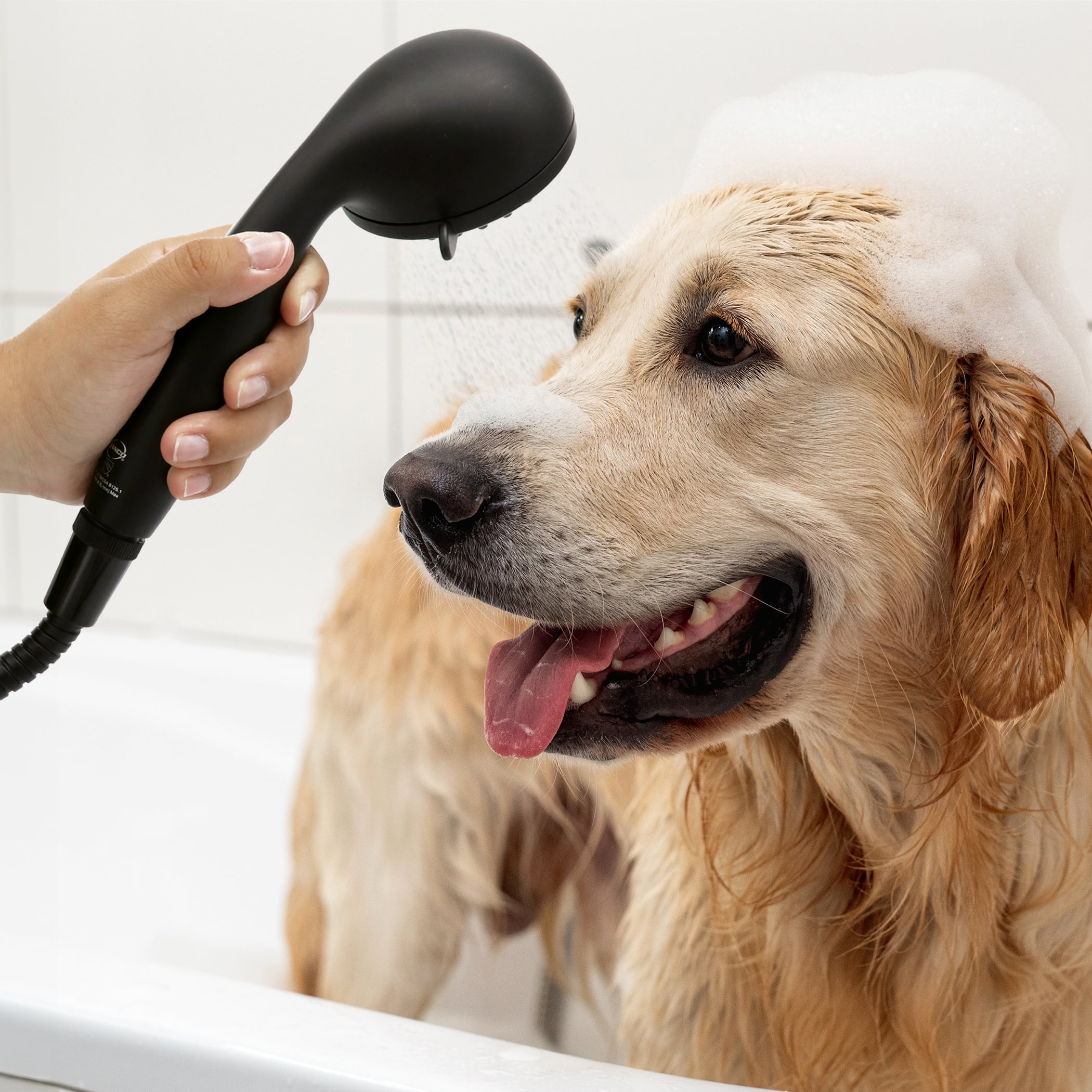 10th image of Multi-Function Massage Handheld Showerhead with Hose in Matte Black 10th image of Multi-Function Massage Handheld Showerhead with Hose in Matte Black