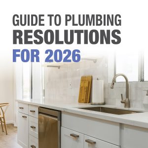 Guide to DIY Plumbing Resolutions for 2026