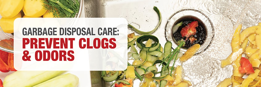 Garbage Disposal Maintenance Tips: Prevent Clogs, Odors & Costly Repairs